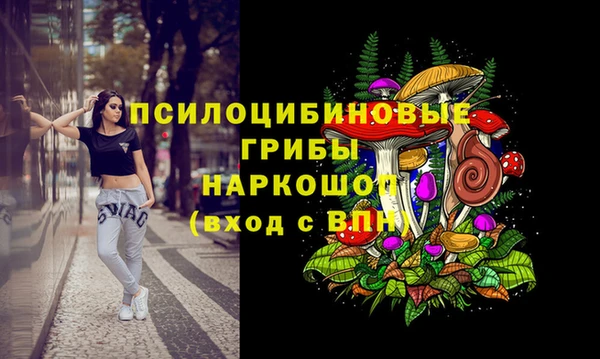 гидропоника Сатка